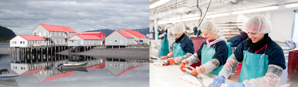 icycle seafoods
